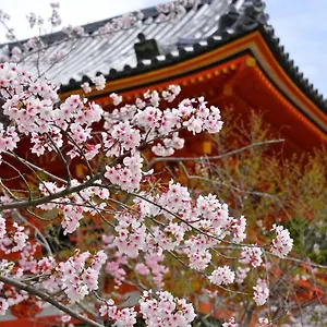 Sakura 祇園北 アパートホテル